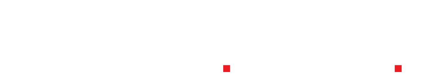 NACIONALNA SNAGA - LOKALNA VIZIJA